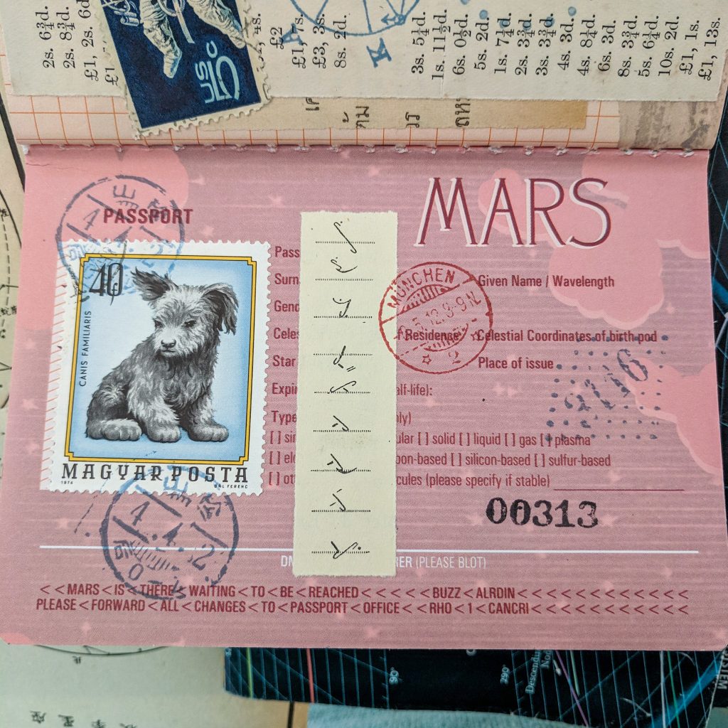 The Mars passport opened to the identification page