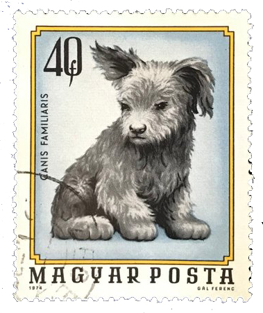 Hungarian postage stamp with an illustration of a dog